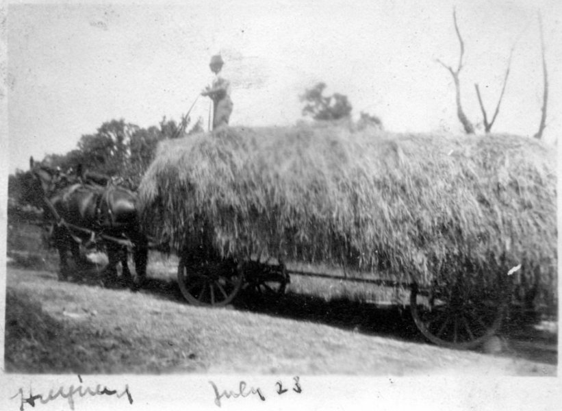 13 Haying - July 1923