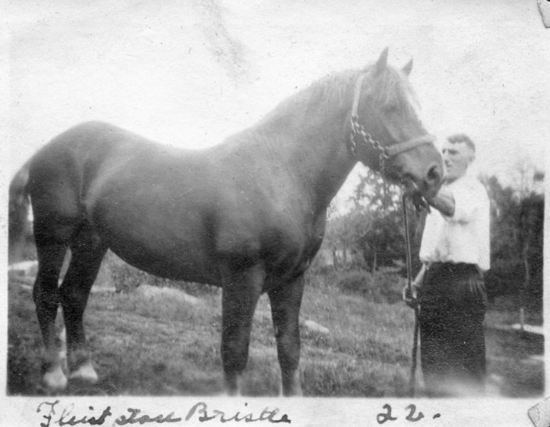 23 John w/ Bristle - First Harness - 1922