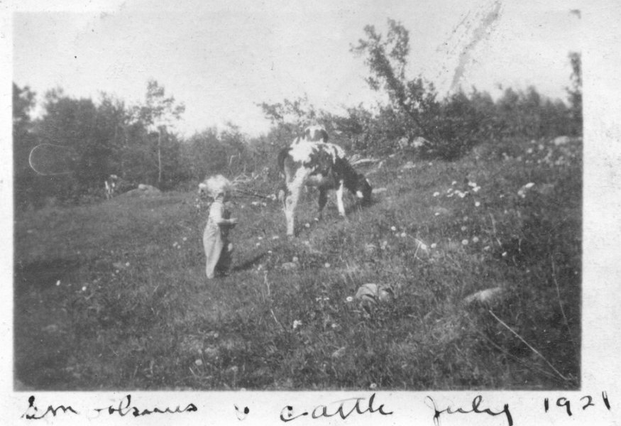 34 Walt with Cattle - July 1921