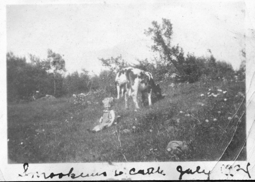 35 Walt with Cows - July 1921