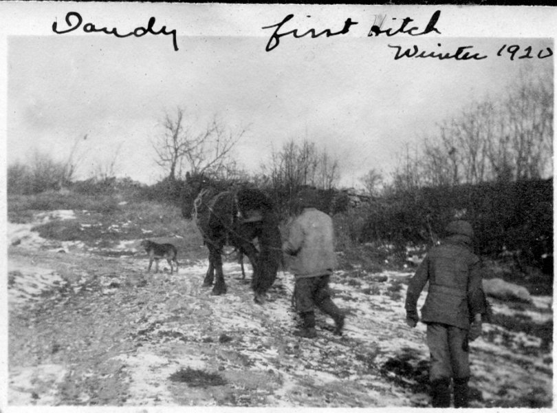 38 Dandy - First Hitch - Winter 1920