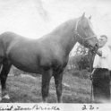 23 John w/ Bristle - First Harness - 1922