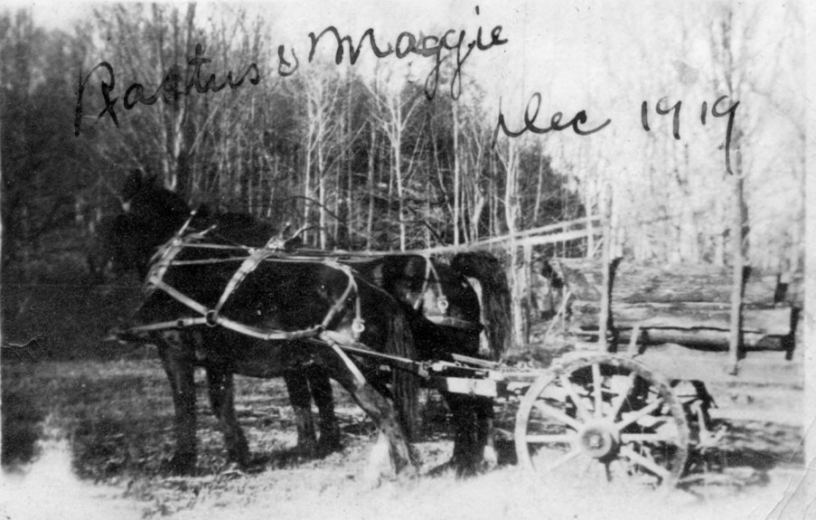 51 Rastus & Maggie - Hauling Wood - Dec 1919