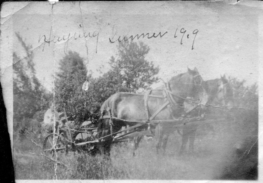 53 Haying - Summer 1919