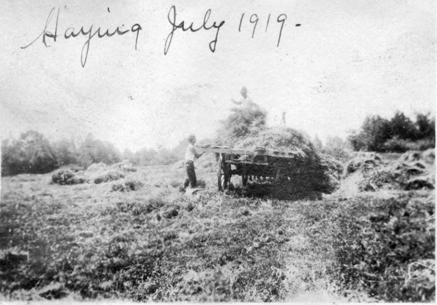 55 Haying - July 1919