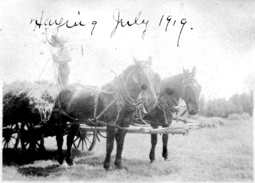 57 Haying - July 1919