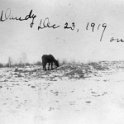 47 Dandy - 23 Dec 1919