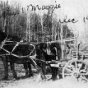 51 Rastus & Maggie - Hauling Wood - Dec 1919