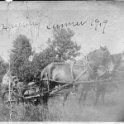 53 Haying - Summer 1919