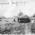 55 Haying - July 1919