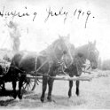 57 Haying - July 1919