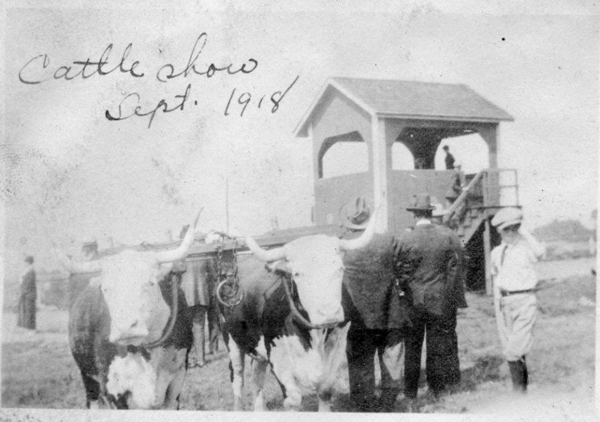 67 Cattle Show - Sept 1918