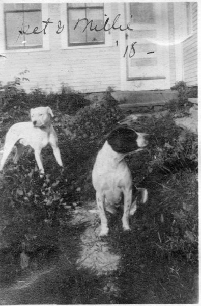 73 Millie & Friend - 1918