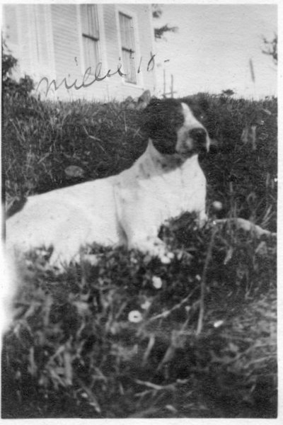 78 Millie - 1918 - West Hill